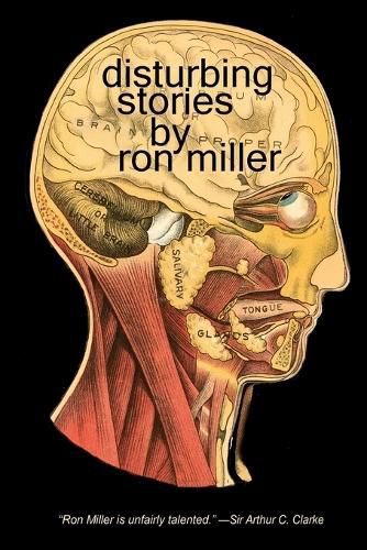 Cover image for Disturbing Stories