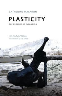 Cover image for Plasticity: The Promise of Explosion