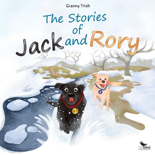 Cover image for The Stories of Jack and Rory