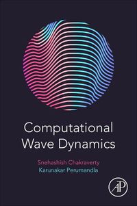 Cover image for Computational Wave Dynamics