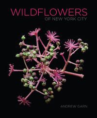 Cover image for Wildflowers of New York City