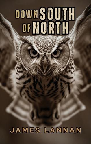 Cover image for Down South of North
