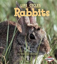 Cover image for Rabbits