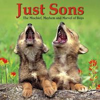 Cover image for Just Sons: The Mischief, Mayhem and Marvel of Boys