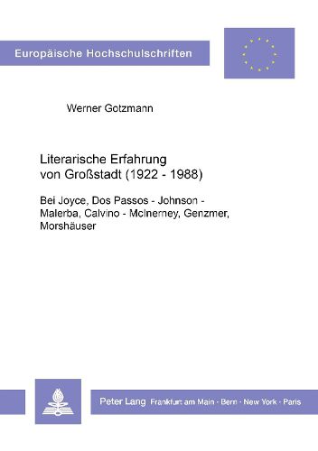 Cover image for Literarische Erfahrung Von Grossstadt (1922 - 1988): Bei Joyce, DOS Passos - Johnson - Malerba, Calvino - McInerney, Genzmer, Morshaeuser