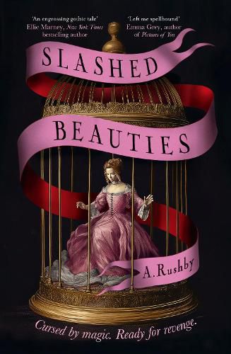 Cover image for Slashed Beauties