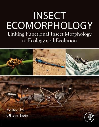 Cover image for Insect Ecomorphology