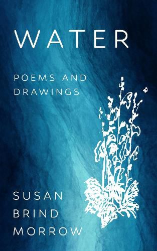 Cover image for Water