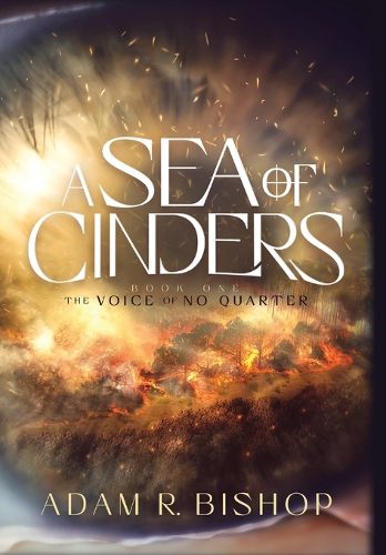 Cover image for A Sea of Cinders