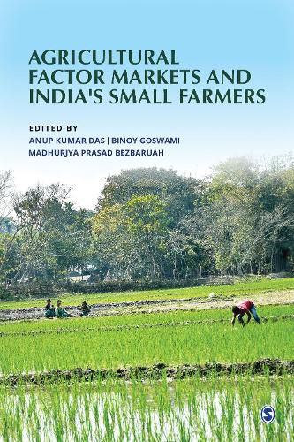 Cover image for Agricultural Factor Markets and India's Small Farmers