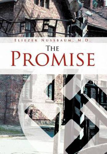 Cover image for The Promise