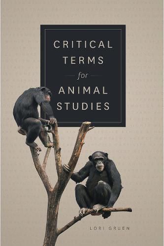 Cover image for Critical Terms for Animal Studies