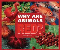 Cover image for Why are Animals Red?