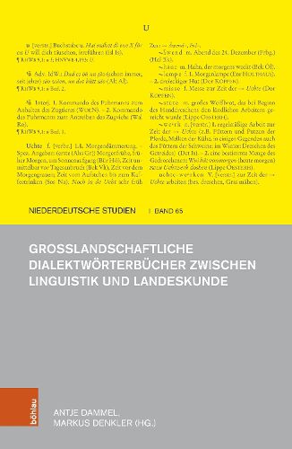 Cover image for Grosslandschaftliche Dialektwoerterbuecher zwischen Linguistik und Landeskunde
