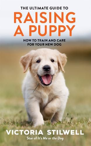 Cover image for The Ultimate Guide to Raising a Puppy