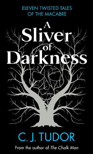 Cover image for A Sliver of Darkness