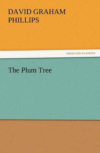 Cover image for The Plum Tree