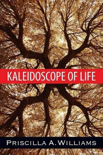 Cover image for Kaleidoscope of Life