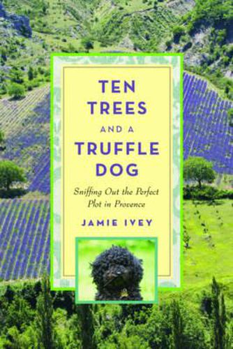 Cover image for Ten Trees and a Truffle Dog: Sniffing Out the Perfect Plot in Provence