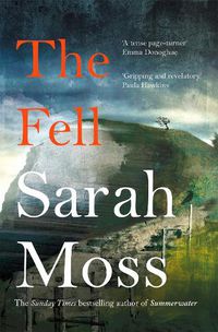 Cover image for The Fell