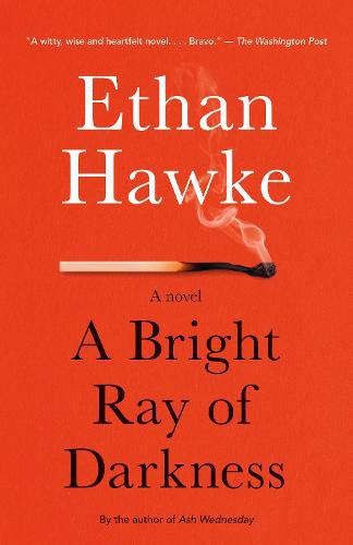 A Bright Ray of Darkness: A novel