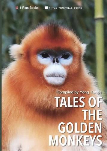 Cover image for Tales of the Golden Monkeys