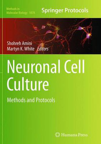 Cover image for Neuronal Cell Culture: Methods and Protocols