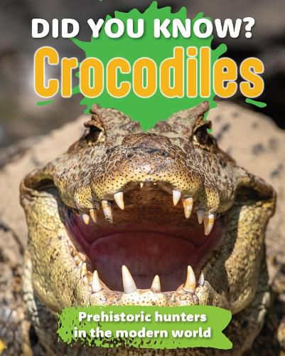 Cover image for Did You Know? Crocodiles