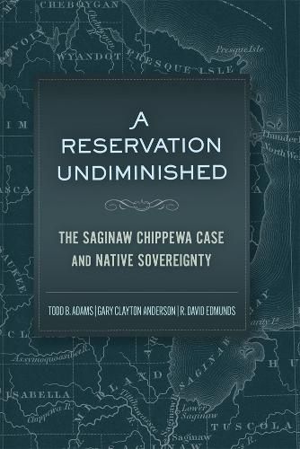 Cover image for A Reservation Undiminished