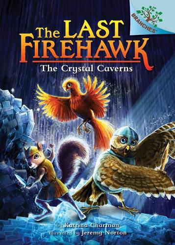 The Crystal Caverns: A Branches Book (the Last Firehawk #2) (Library Edition): Volume 2
