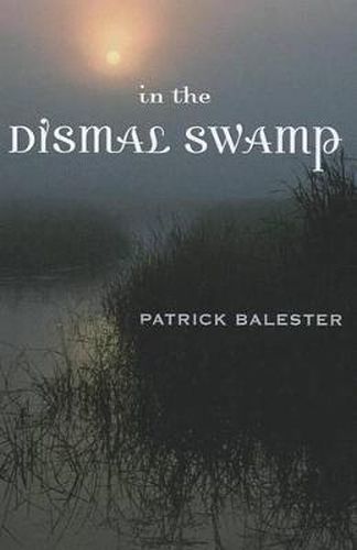 Cover image for In the Dismal Swamp