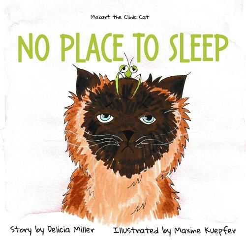 Cover image for No Place to Sleep