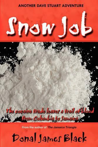 Cover image for Snow Job