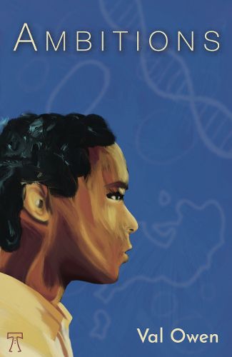 Cover image for Ambitions