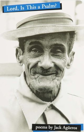 Cover image for Lord, Is This a Psalm?