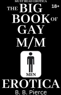 Cover image for The BIG BOOK of Gay M/M Erotica