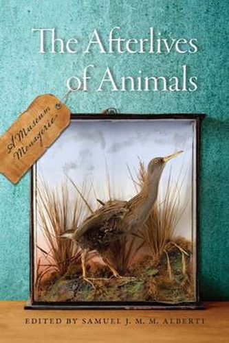 Cover image for The Afterlives of Animals: A Museum Menagerie