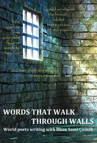 Cover image for Words That Walk Through Walls