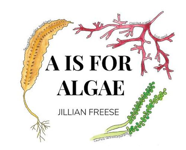 Cover image for A is for Algae