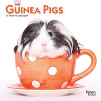 Cover image for Guinea Pigs 2020 Mini Wall Calendar