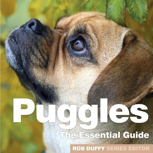 Cover image for Puggles: The Essential Guide