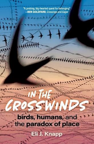 In the Crosswinds