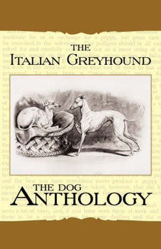 The Italian Greyhound - A Dog Anthology (A Vintage Dog Books Breed Classic)