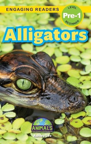 Cover image for Alligators
