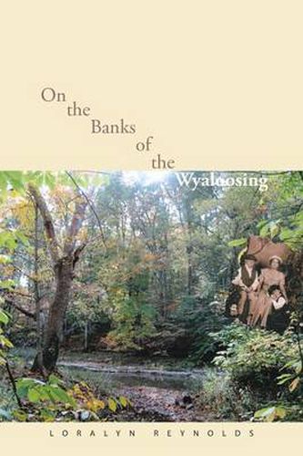 Cover image for On the Banks of the Wyaloosing