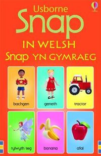 Cover image for Snap in Welsh