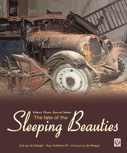 Cover image for The Fate of the Sleeping Beauties