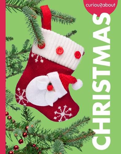 Cover image for Curious about Christmas