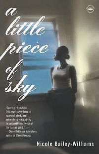 Cover image for A Little Piece of Sky: A Novel