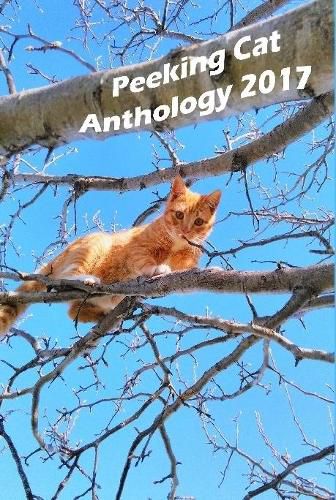 Cover image for Peeking Cat Anthology 2017